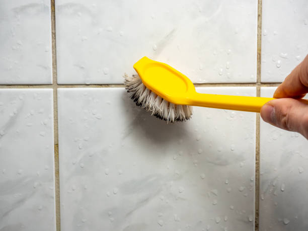 Best Mold Remediation  in Atkinson, NE